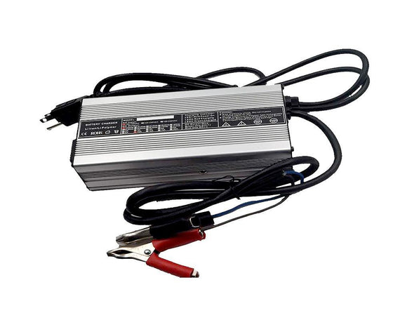 48V 5A LiFePO4 Battery Charger