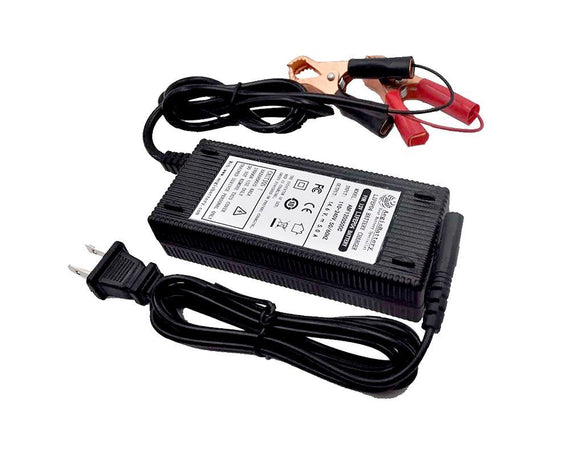 12V 20A AC-to-DC LFP Portable Battery Charger